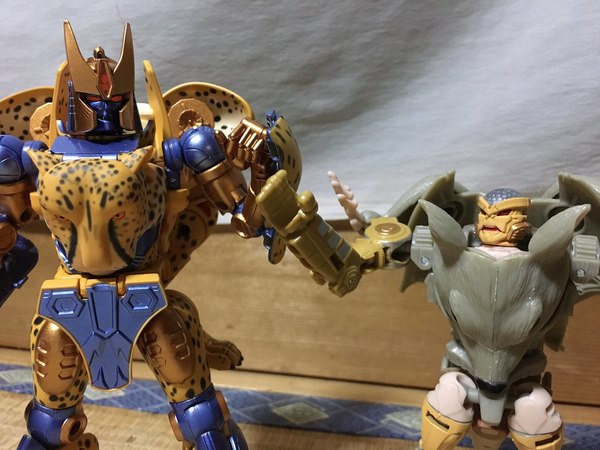 MP 34 Cheetor In Hand Pictures Of Beast Wars Masterpiece Figure 15 (15 of 23)